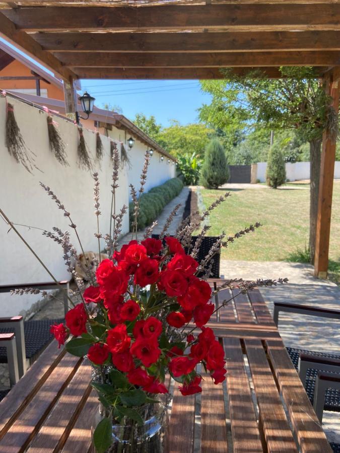 Vikendica Lesic Villa Cortanovci ภายนอก รูปภาพ